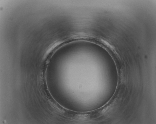 X0000062891453200601171501