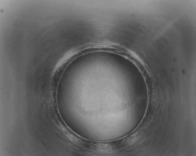 X0000062891456200601171501