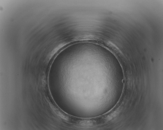 X0000062891457200601171501