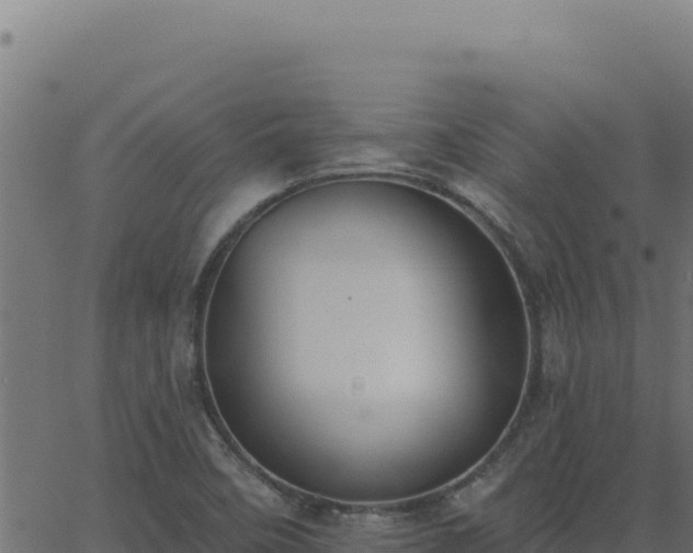 X0000062891458200601171501