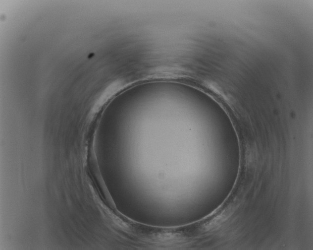 X0000062891459200601171501