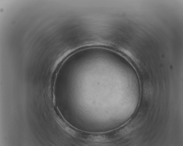 X0000062891460200601171501