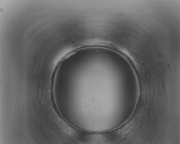 X0000062891463200601171501