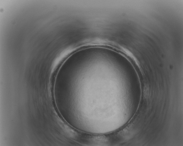 X0000062891464200601171501