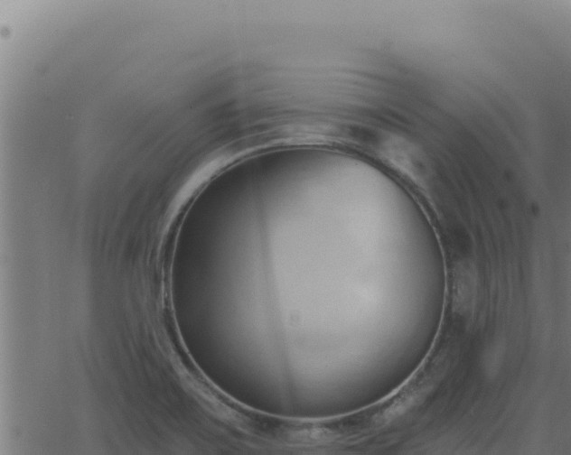 X0000062891467200601171501