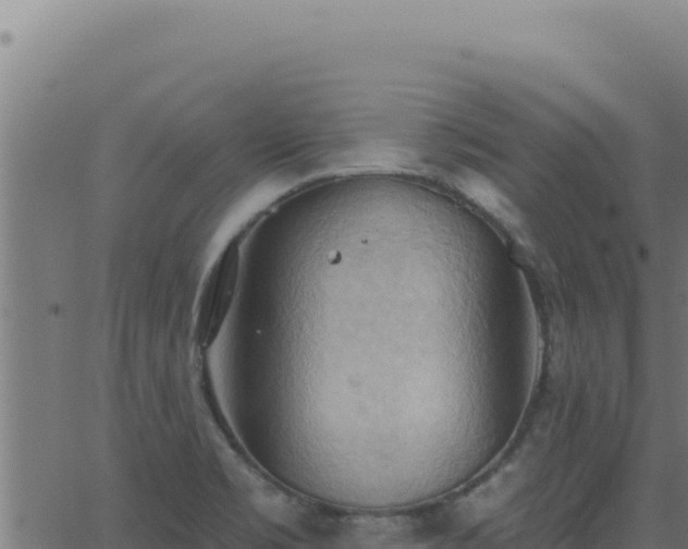 X0000062891469200601171501