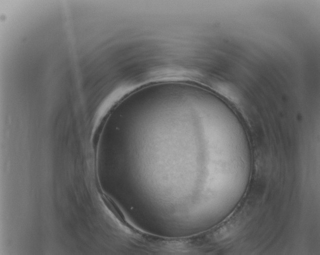 X0000062891472200601171501