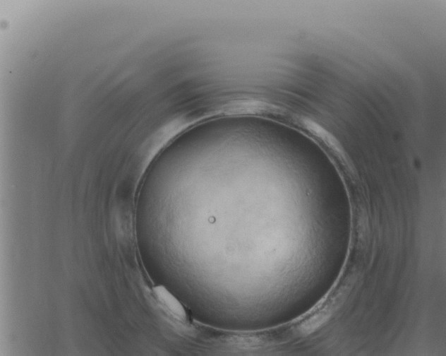 X0000062891473200601171501