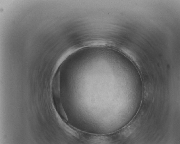 X0000062891475200601171501