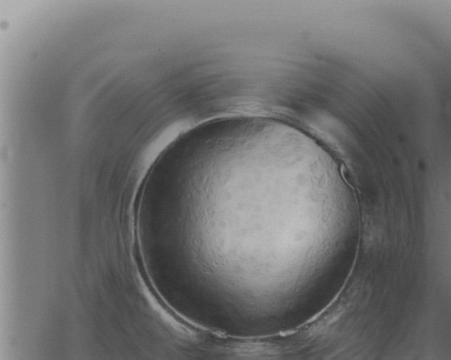 X0000062891479200601171500