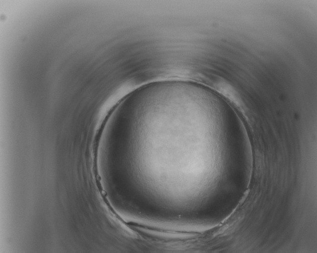 X0000062891480200601171500