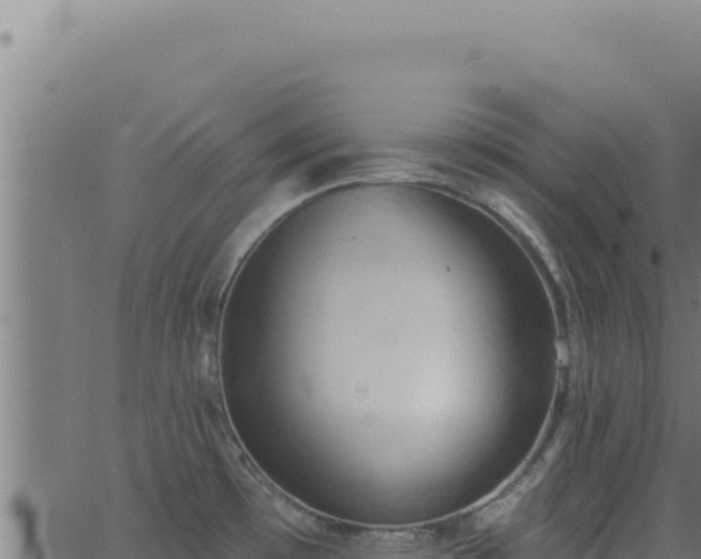 X0000062891481200601171500