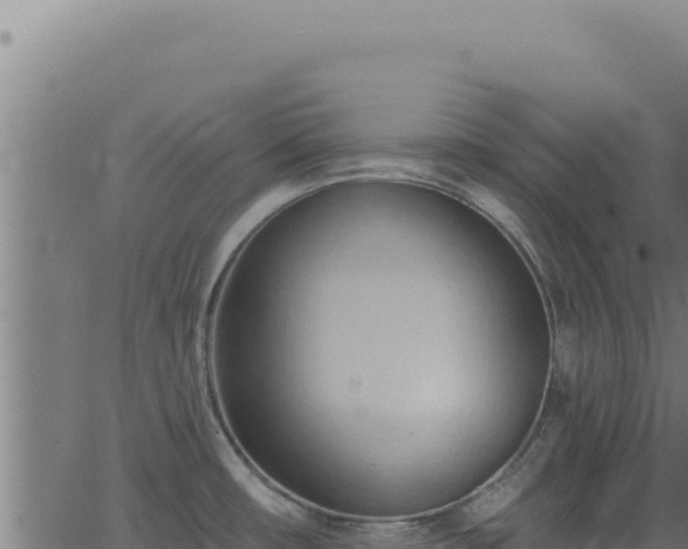 X0000062891482200601171500