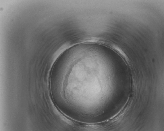 X0000062891483200601171500