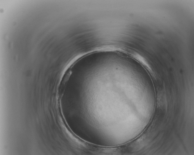 X0000062891484200601171500