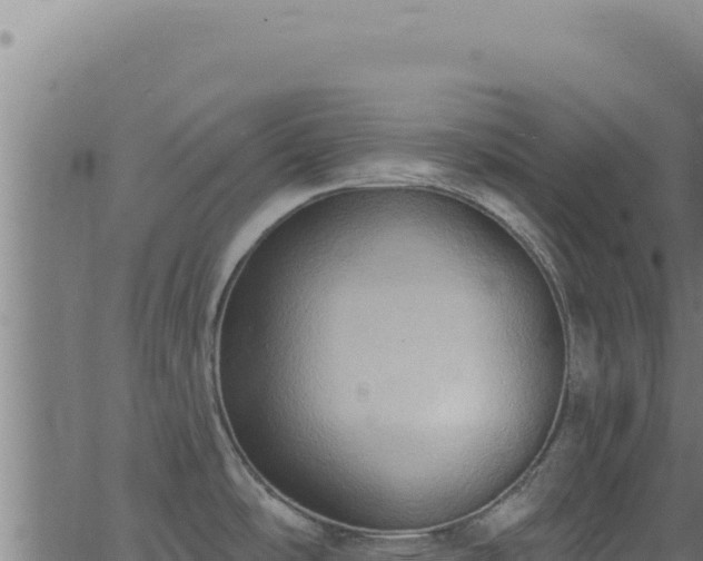 X0000062891486200601171500