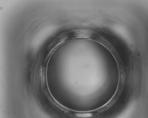 X0000062891487200601171500