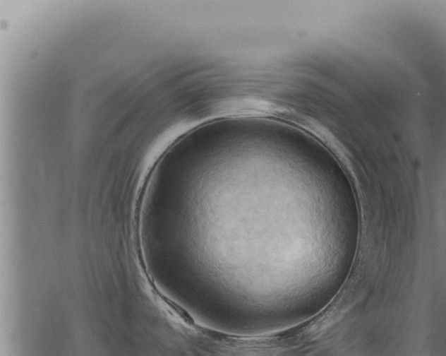 X0000062891488200601171500