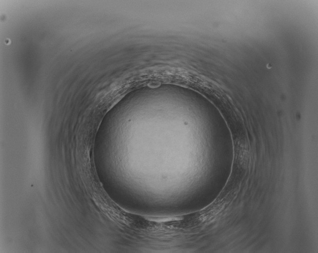 X0000062891489200601171459