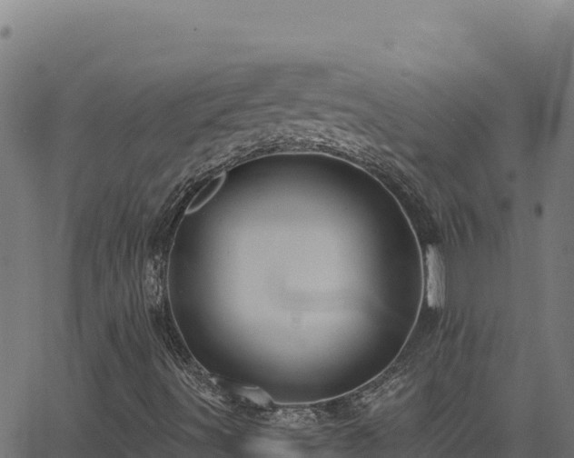 X0000062891491200601171459