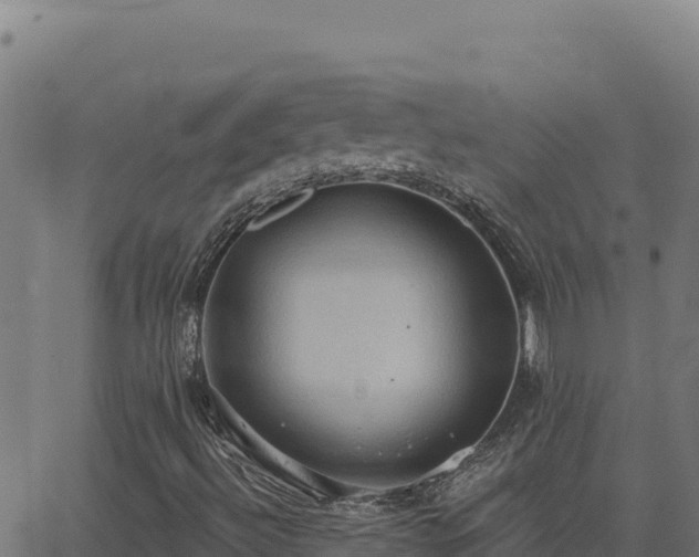 X0000062891492200601171500