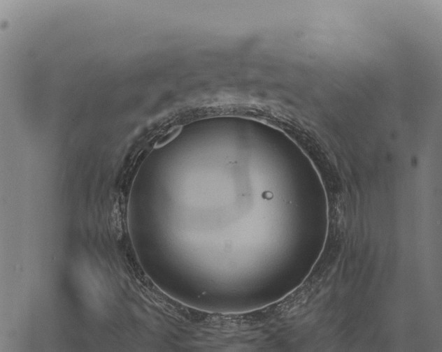 X0000062891493200601171500