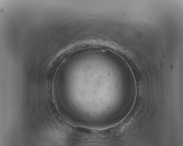 X0000062891494200601171500