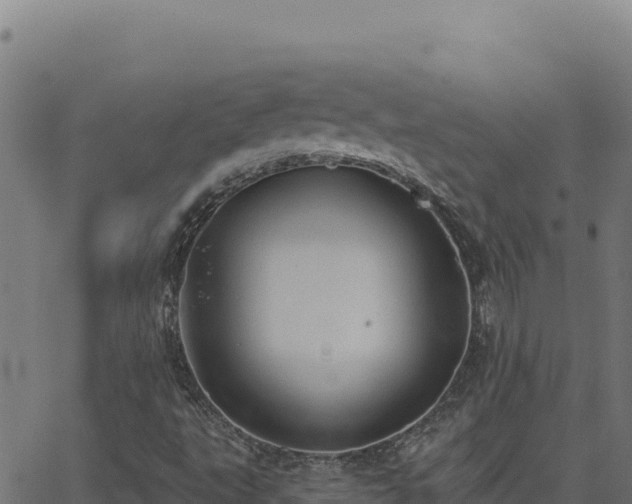 X0000062891495200601171500