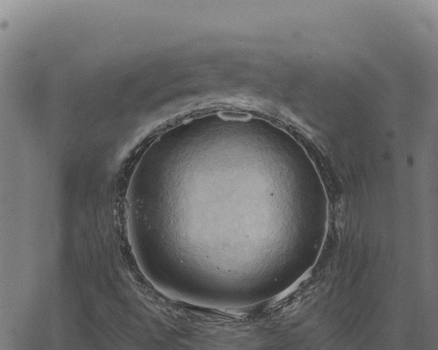 X0000062891496200601171500