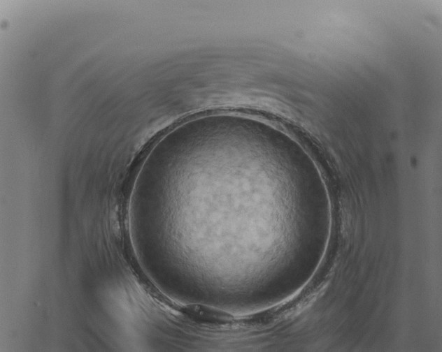 X0000062891497200601171500