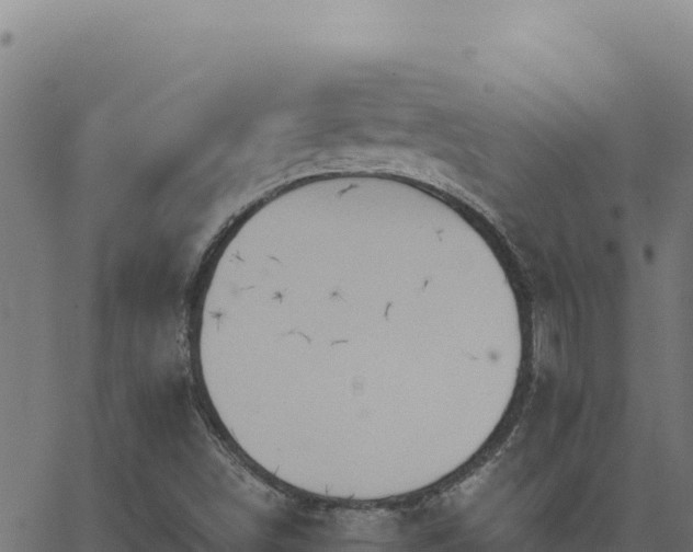 X0000062891498200601171500