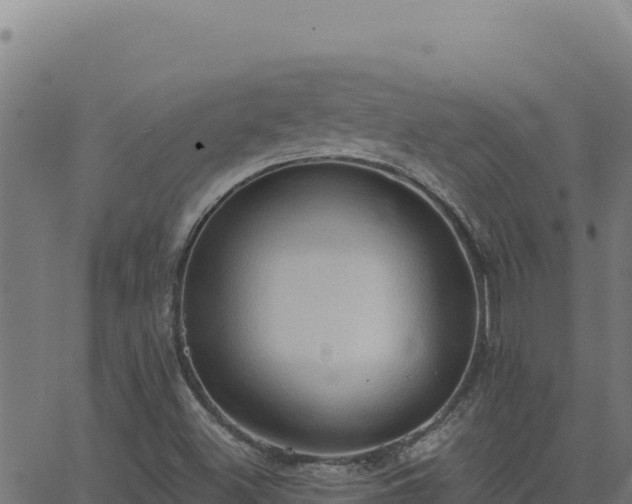 X0000062891500200601171500