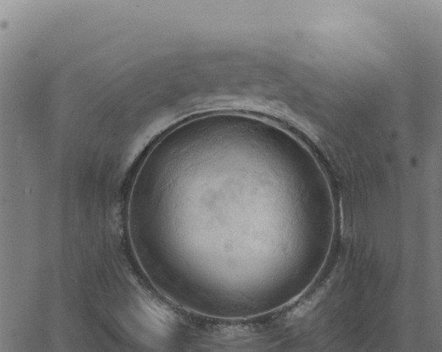 X0000062891501200601171500