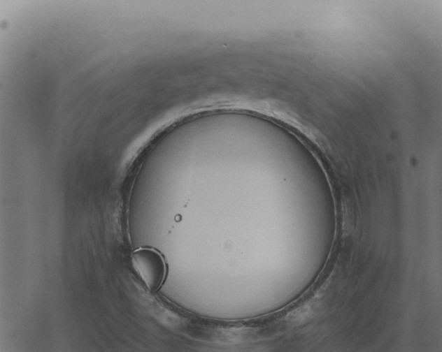 X0000062891502200601171500