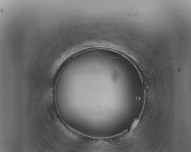 X0000062891503200601171500