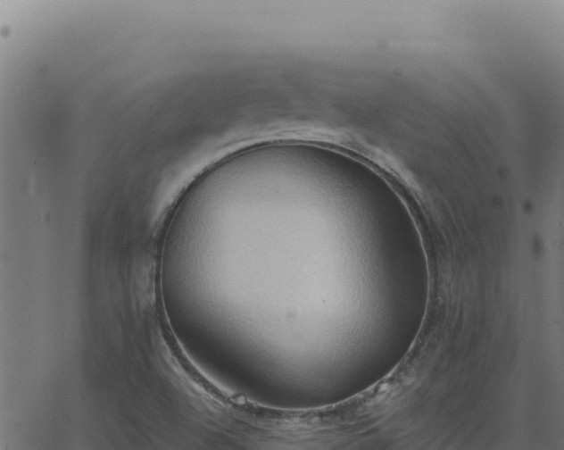 X0000062891504200601171500