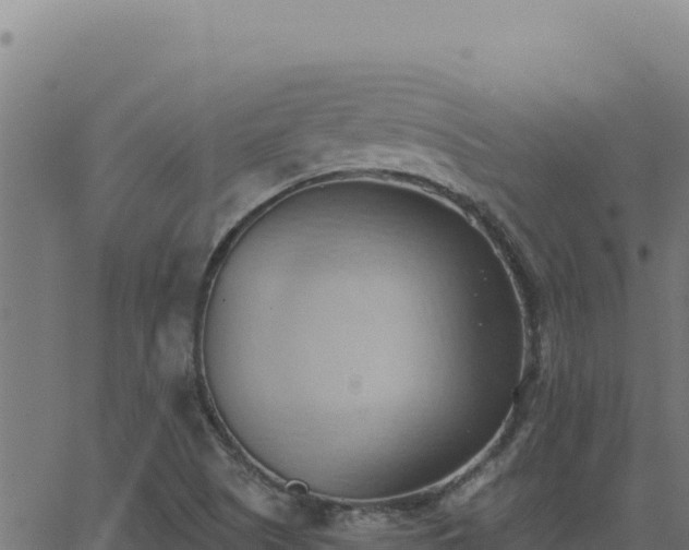 X0000062891505200601171500