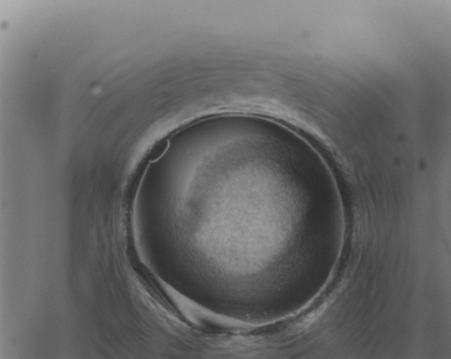 X0000062891506200601171500