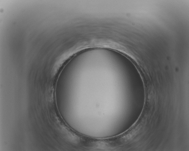 X0000062891507200601171500