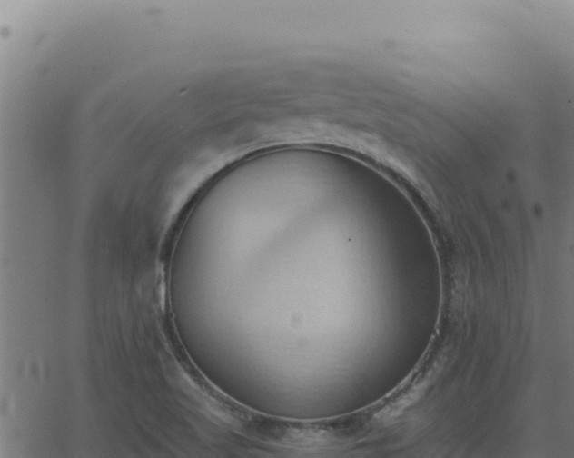 X0000062891509200601171500