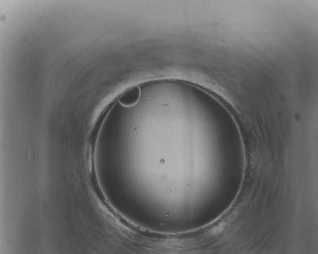 X0000062891510200601171500