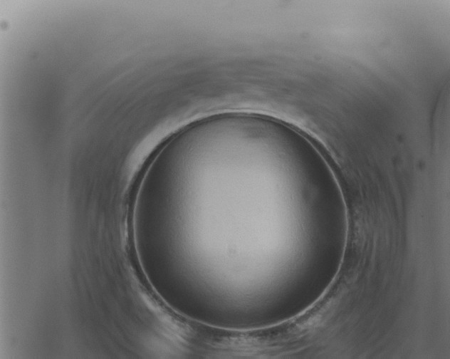 X0000062891511200601171500