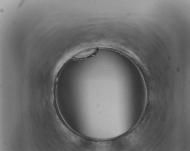 X0000062891512200601171500