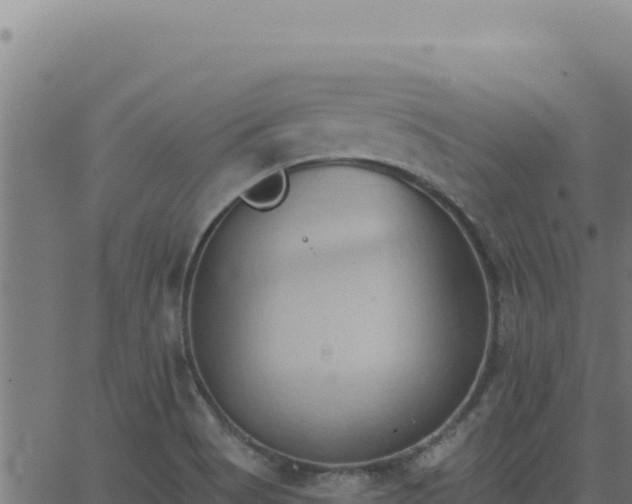 X0000062891513200601171500