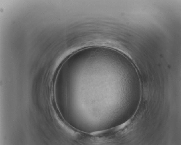 X0000062891515200601171500