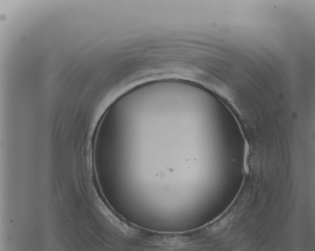 X0000062891516200601171500