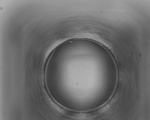 X0000062891517200601171500