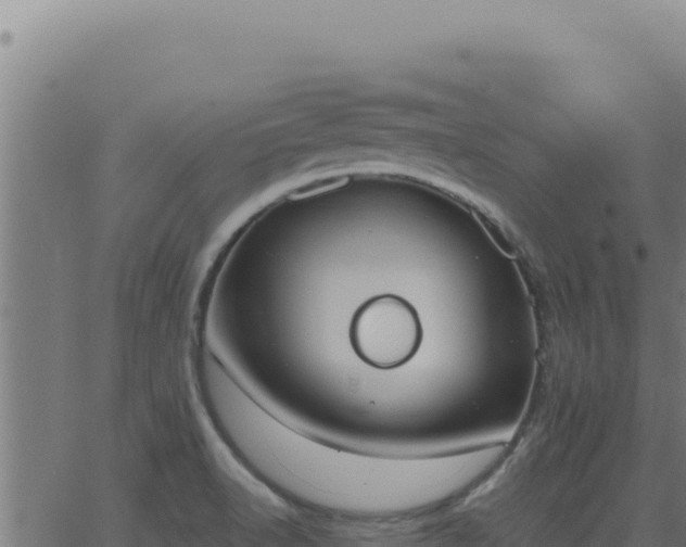 X0000062891518200601171500