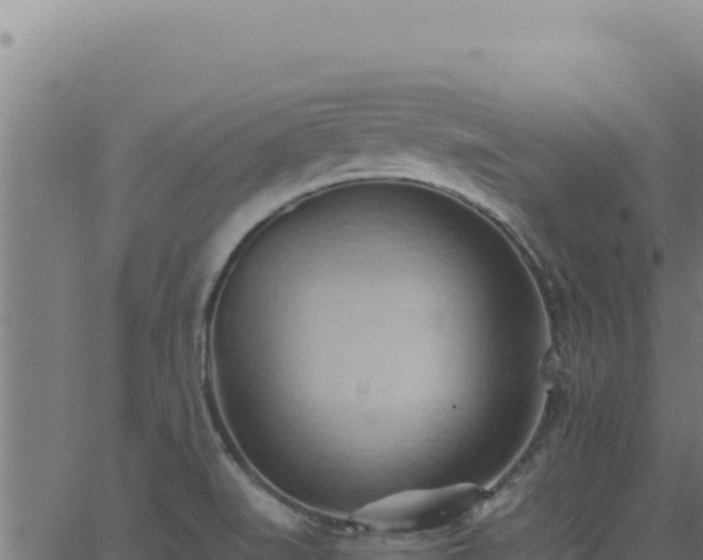 X0000062891519200601171500