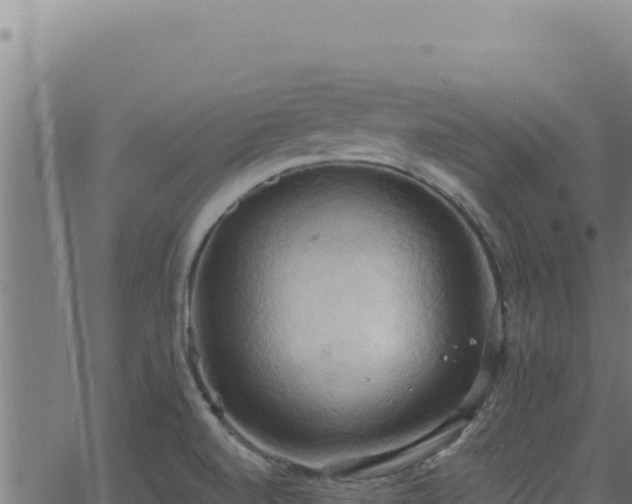 X0000062891520200601171500